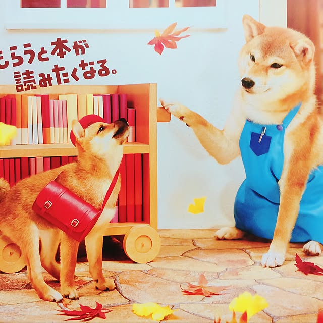 実例写真