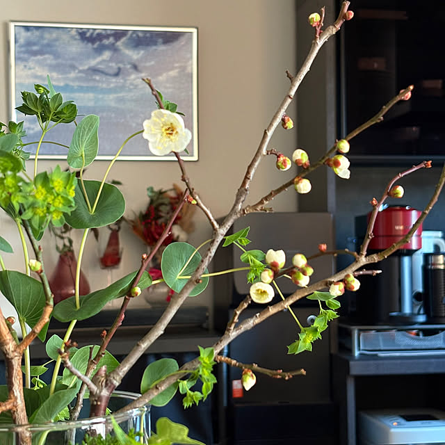 up0524さんの部屋