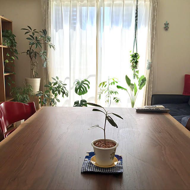 yamaさんの実例写真