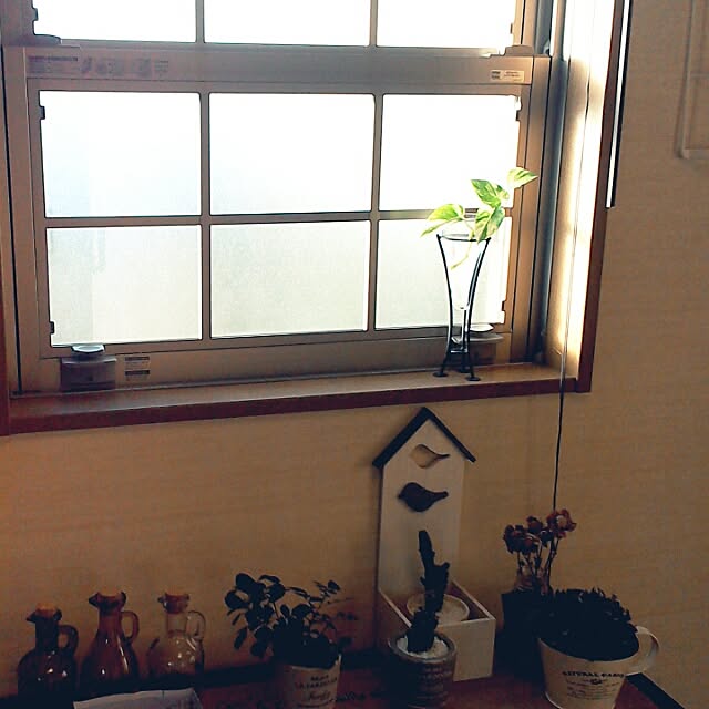 god__flowerさんの実例写真