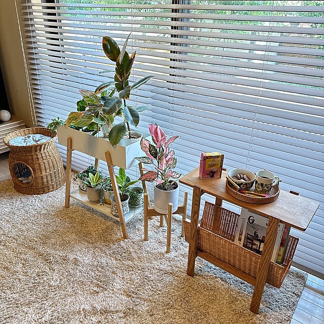 chinaさんの部屋