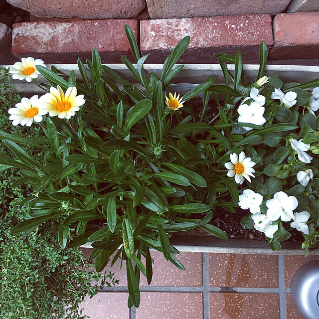 mimichankさんの実例写真