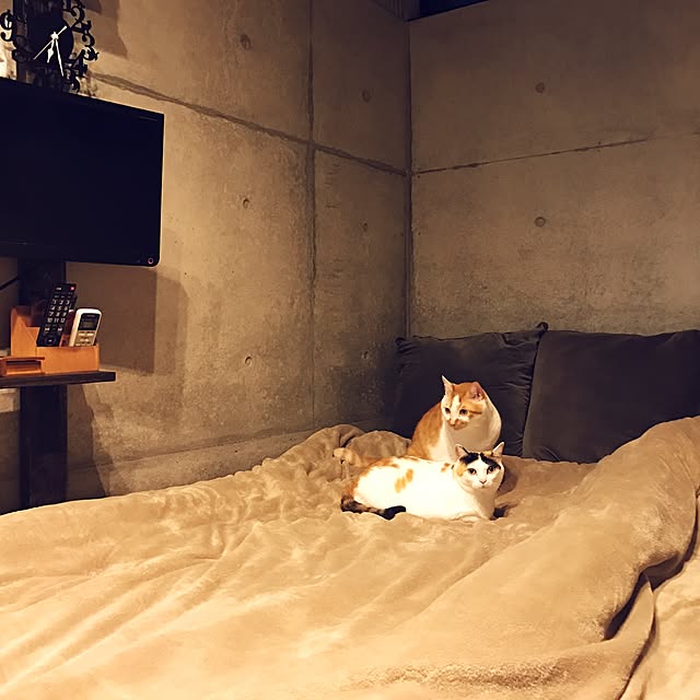 mashさんの実例写真