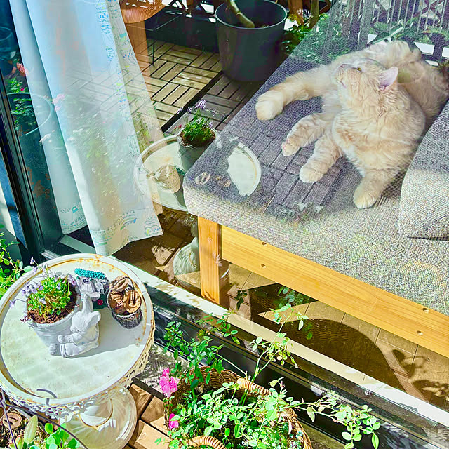 naokoさんの部屋