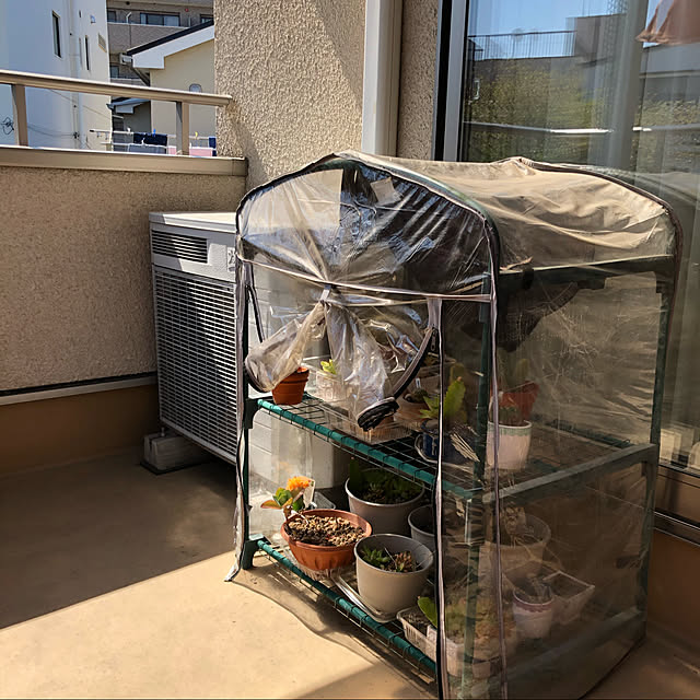 roserose555さんの実例写真