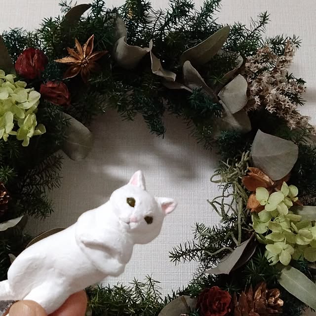 MIPORINNさんの実例写真