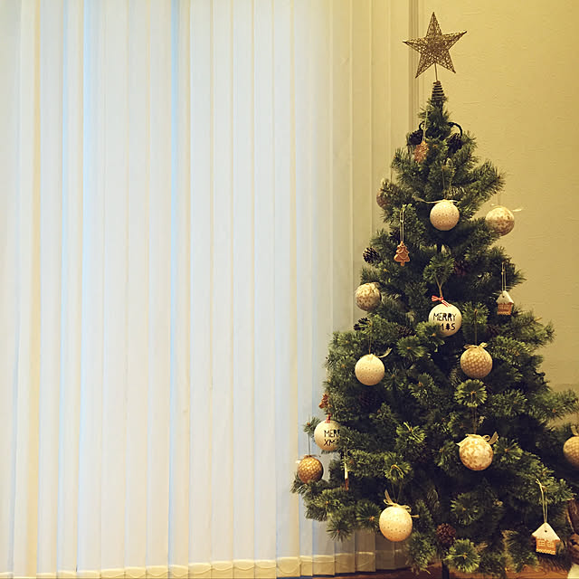 オーナメント/クリスマスツリー/ディスプレイ/リビングのインテリア実例 - 2019-06-23 21:56:33