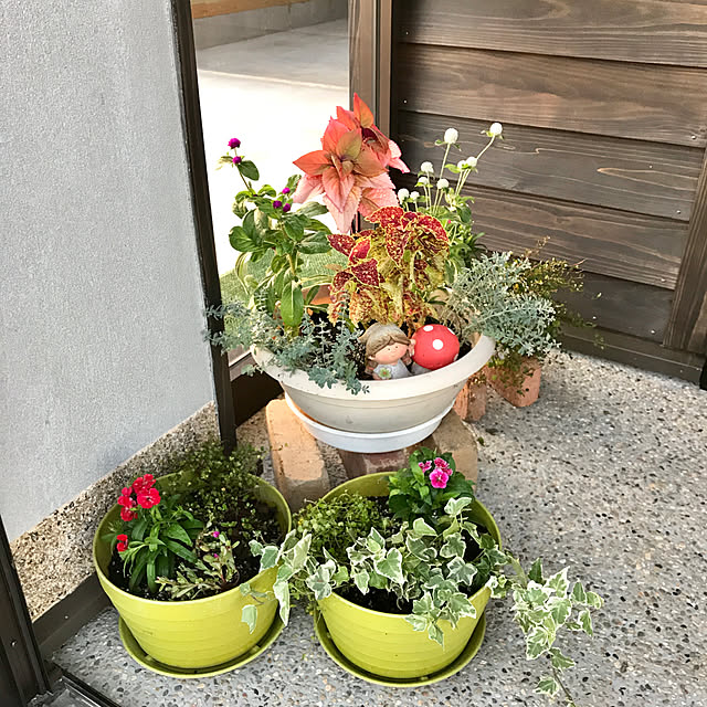 実例写真