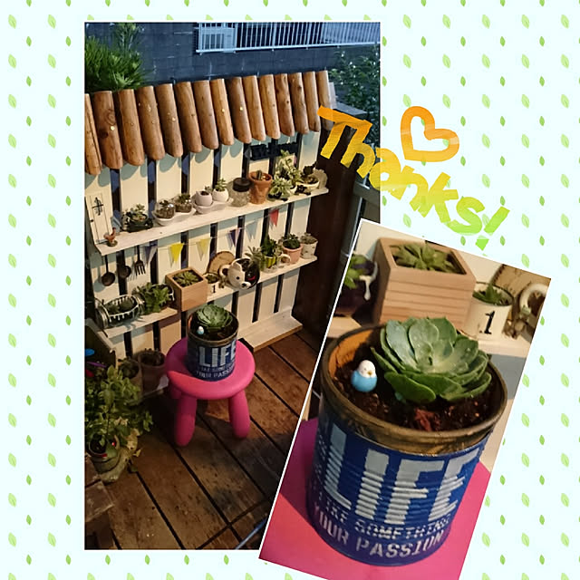 maiさんの実例写真