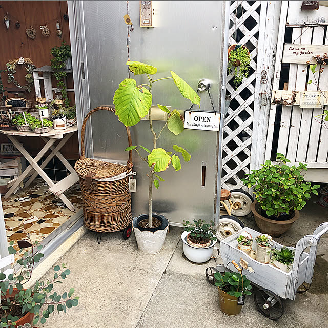 coraruさんの実例写真