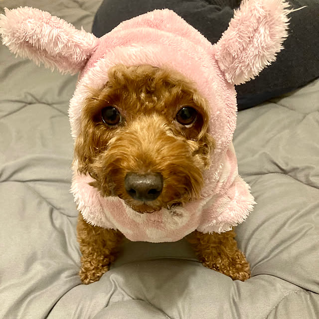 MOMOMAMAさんの実例写真