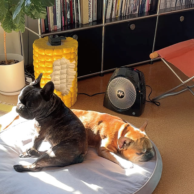 VORNADOJAPANさんの実例写真