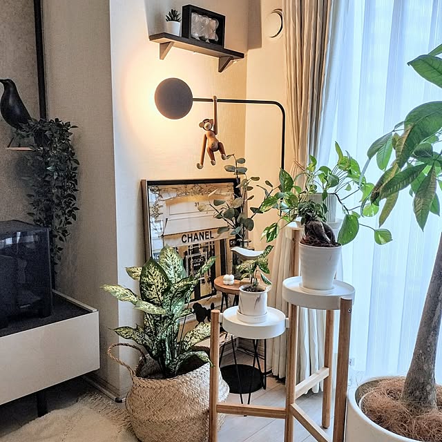 Riokkumaさんの部屋