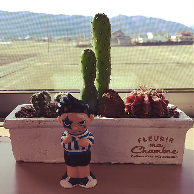 KaoRoteKAさんの実例写真