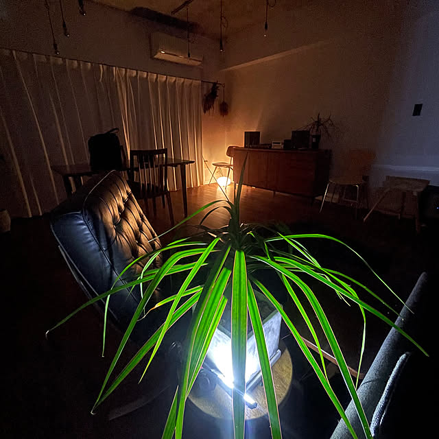 kenさんの実例写真