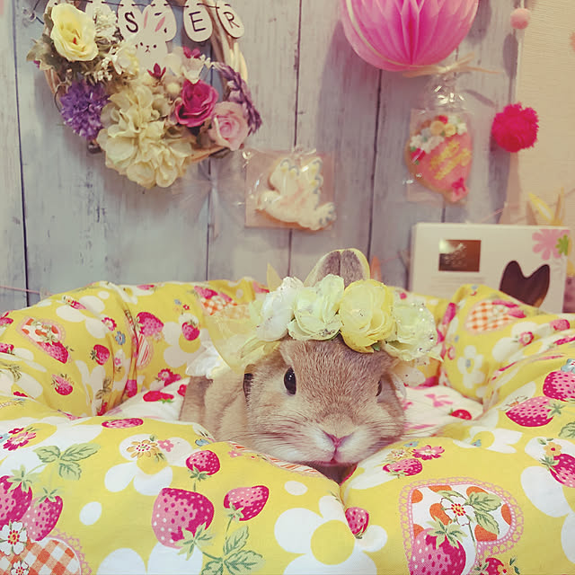 Lilyさんの実例写真