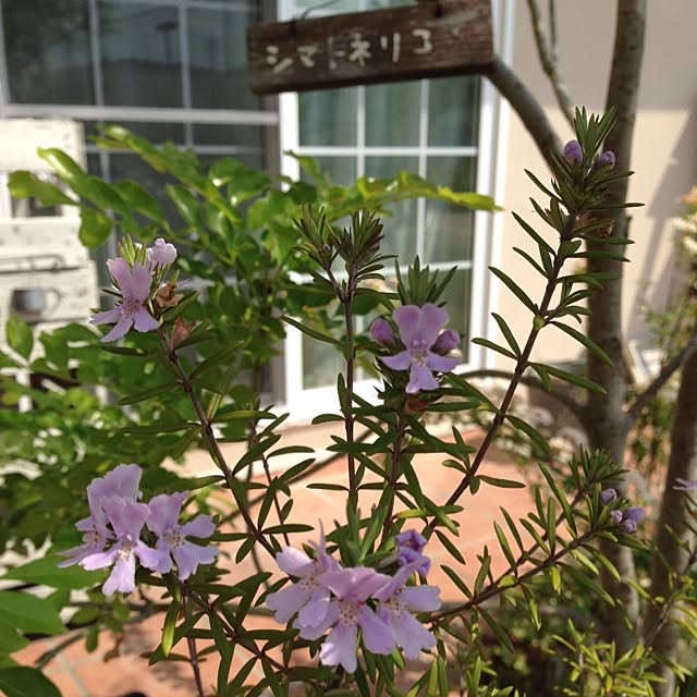 R.yukaさんの実例写真