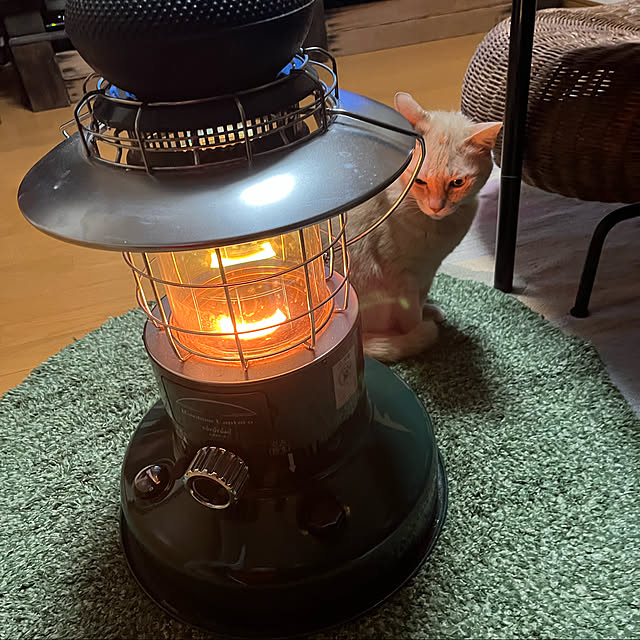 mikan161さんの実例写真