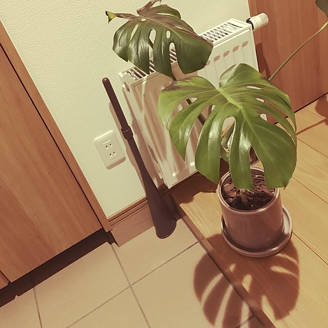kankundayoさんの実例写真