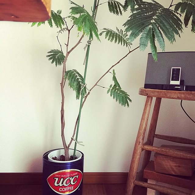 junkowasaさんの実例写真
