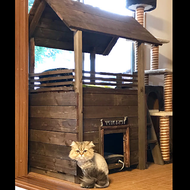 butachanさんの実例写真