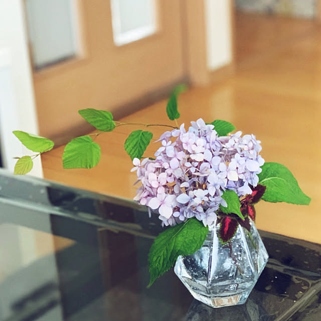 yukarin-gardenさんの部屋