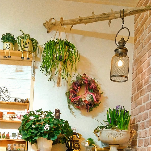 棚/黒インテリア/観葉植物のある暮らし/DIY/黒×茶...などのインテリア実例 - 2022-01-30 15:19:29