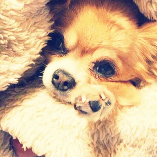 achiさんの実例写真