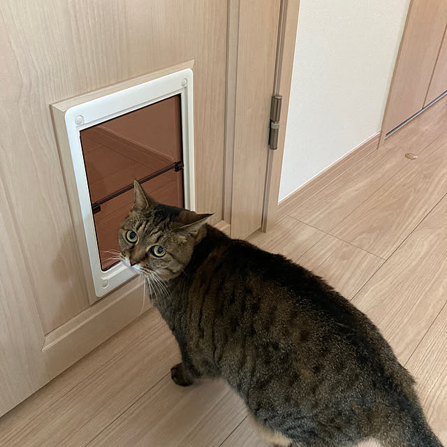kirinsanさんの実例写真