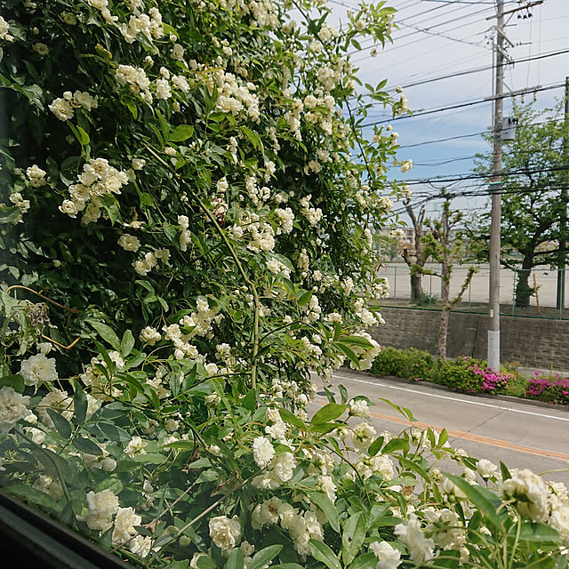 EKさんの実例写真