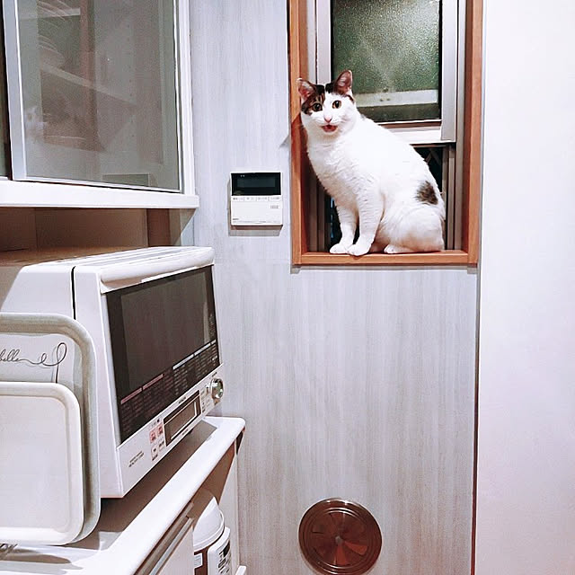 kirakirahikaruさんの実例写真