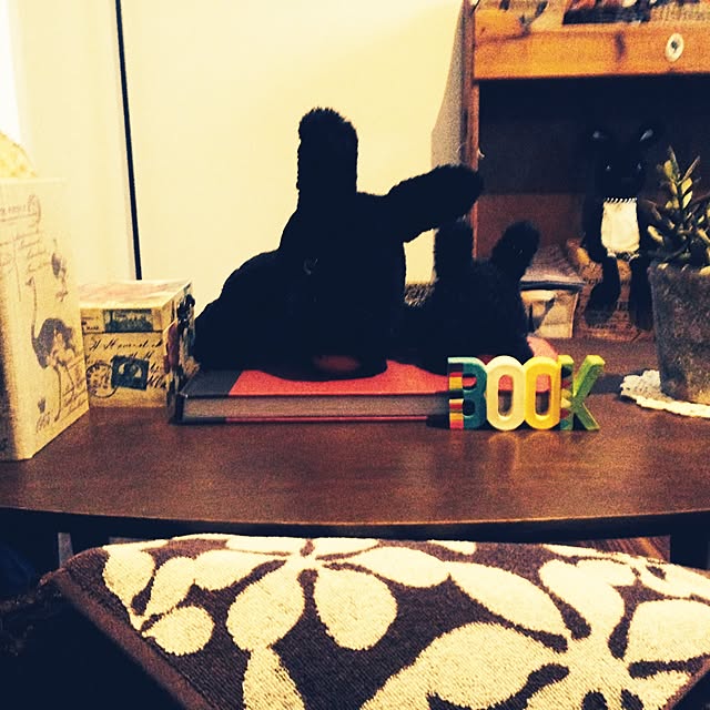 pipisaeさんの実例写真