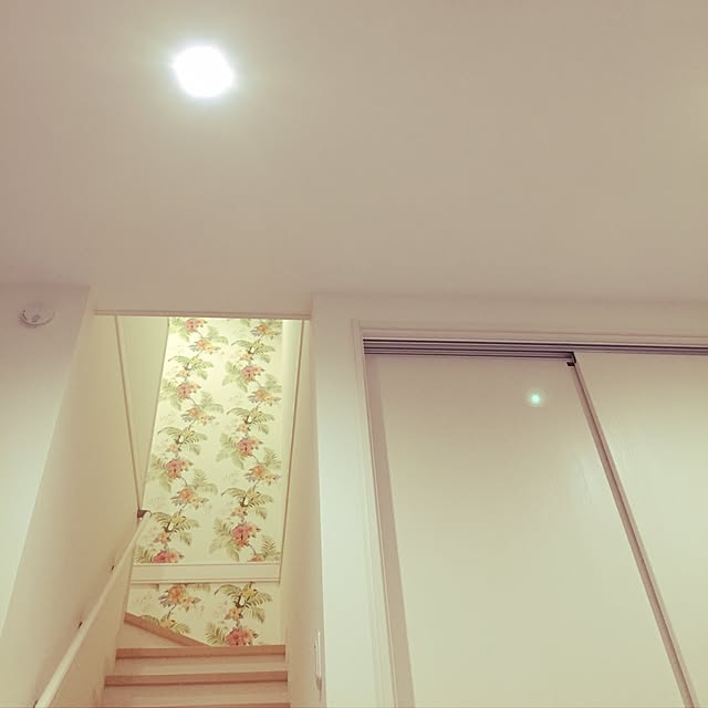 Sumieさんの実例写真