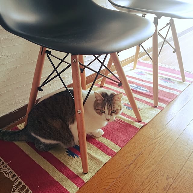 wanpakukaachanさんの実例写真