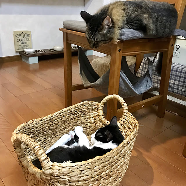 kazaneさんの実例写真
