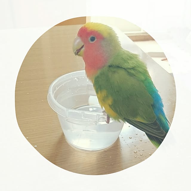 kinaさんの実例写真