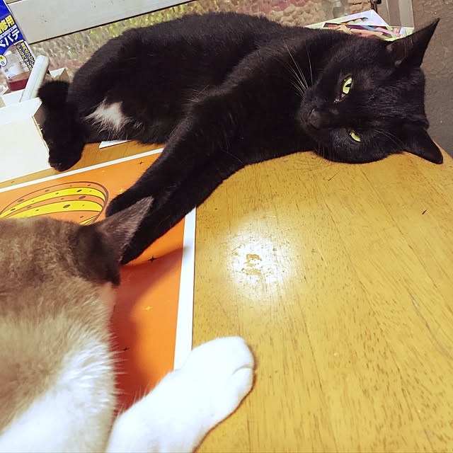 vivienne.coco-keiさんの実例写真