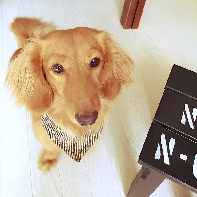 noaさんの実例写真