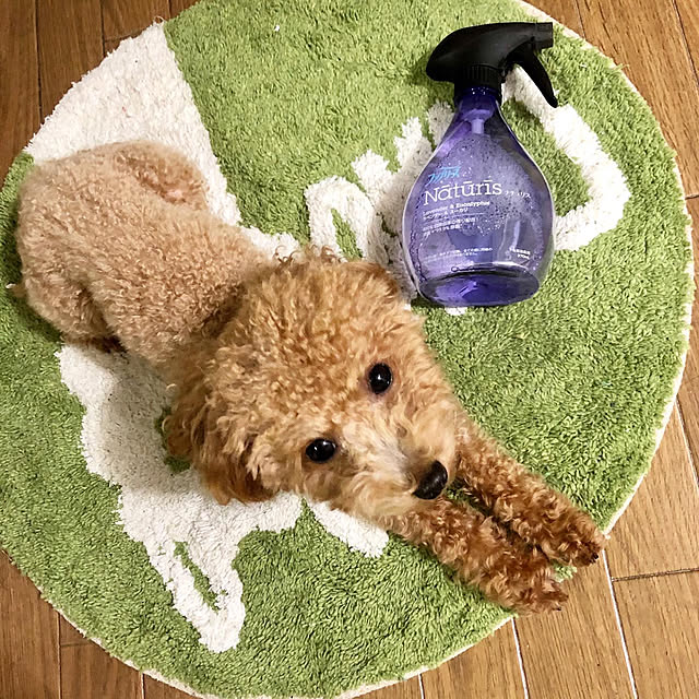 honohonoさんの実例写真