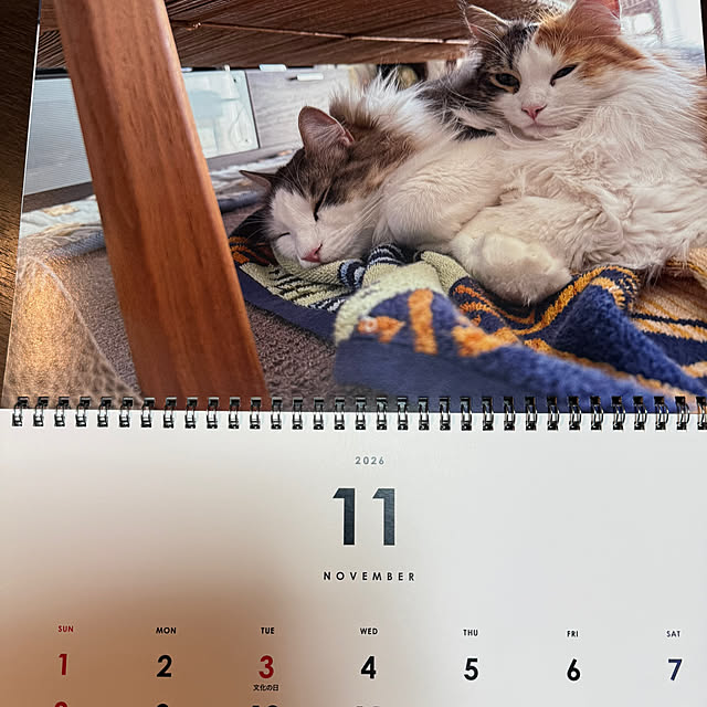 belleさんの部屋