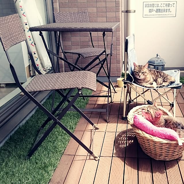 kokesatoさんの実例写真