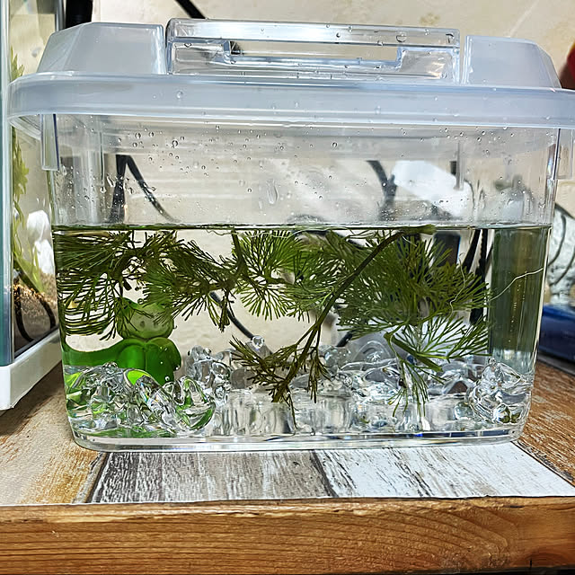 Kammiさんの実例写真
