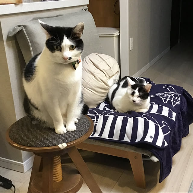hanaさんの実例写真