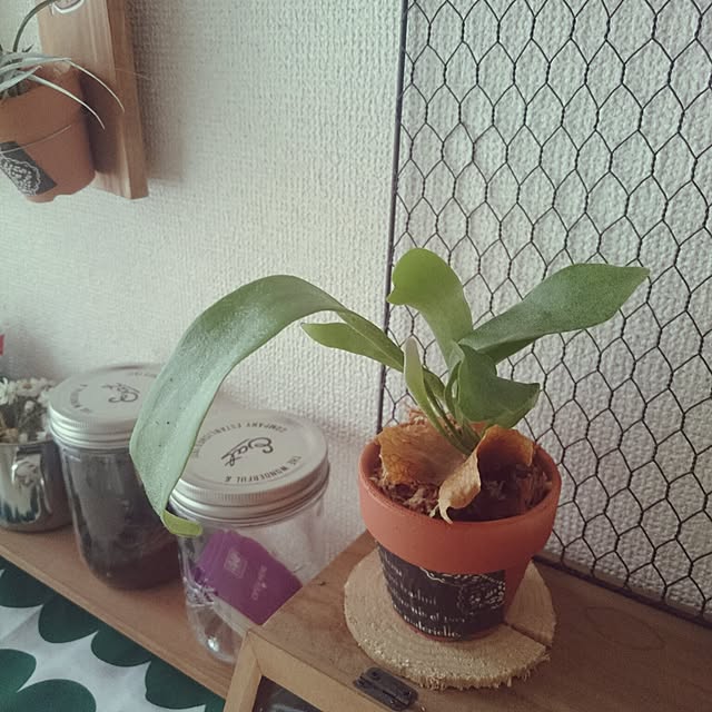 yu-yuさんの実例写真