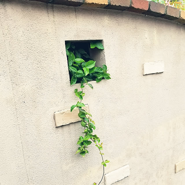 myuさんの実例写真