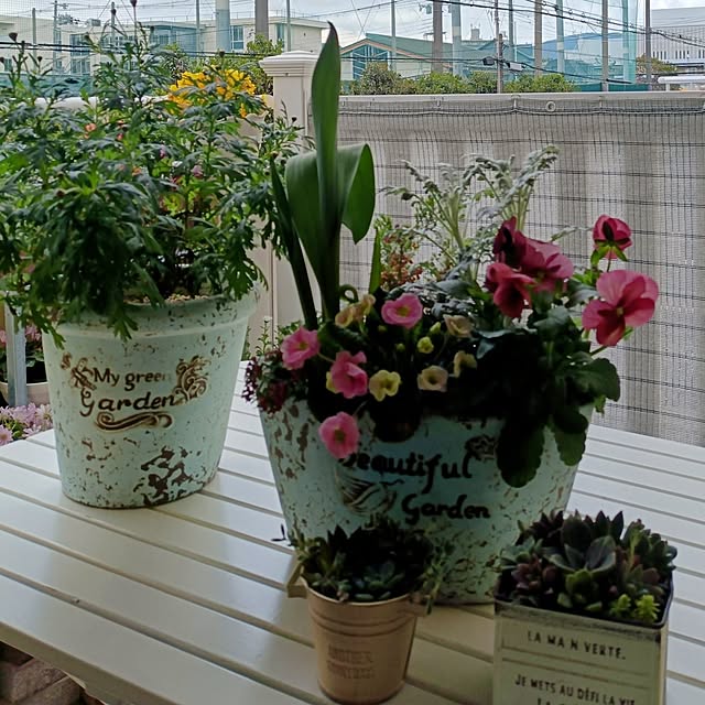 annaさんの部屋