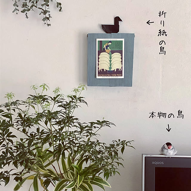 soramameさんの実例写真