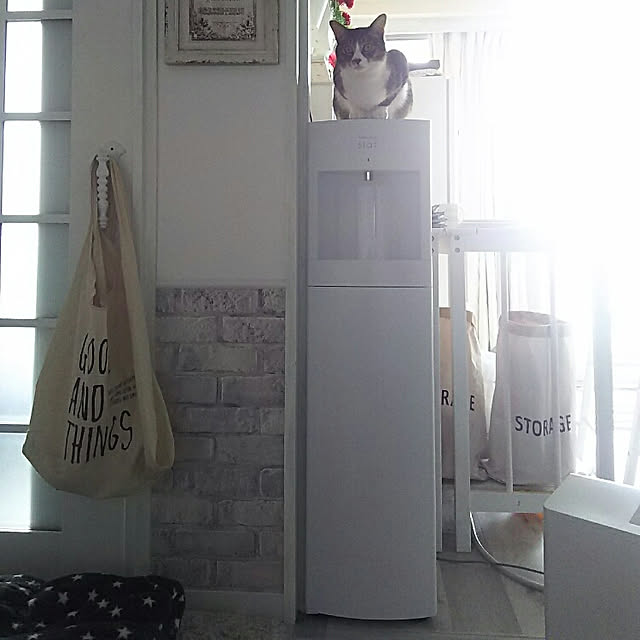 nicopenponさんの実例写真