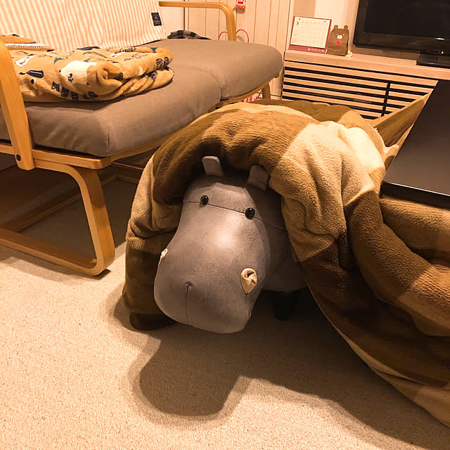 mangoさんの実例写真