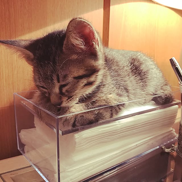 emikoさんの実例写真